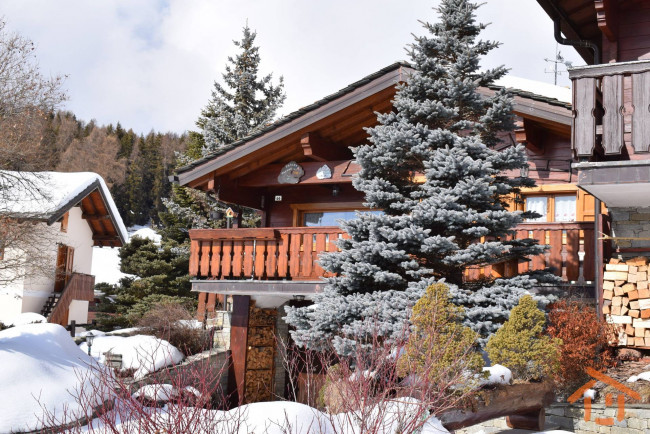 Villa Bifamiliare in vendita a Brusson