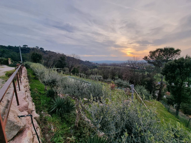 Villa in vendita a Torgiano