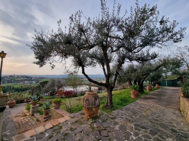 Villa in vendita a Torgiano