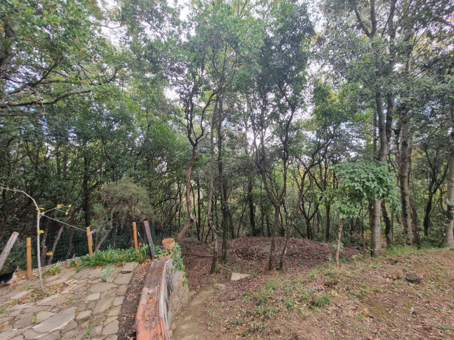 Casa singola in vendita a Bettona