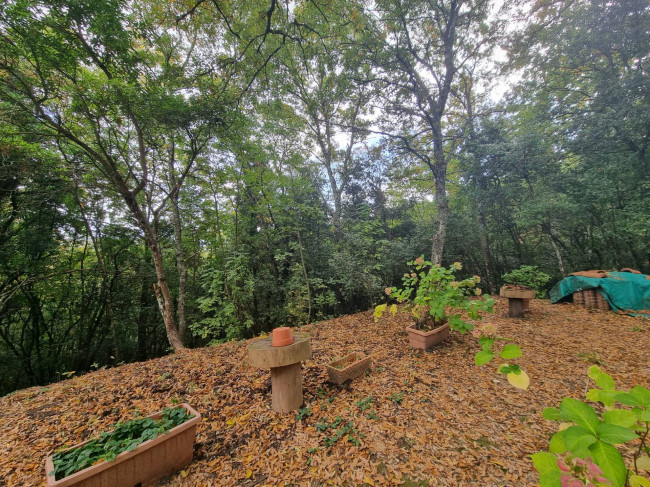 Casa singola in vendita a Bettona