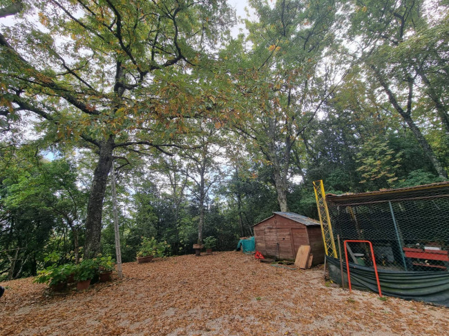 Casa singola in vendita a Bettona