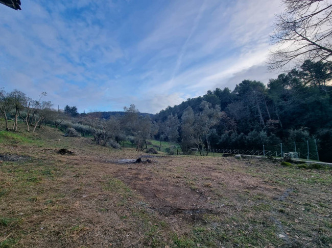 Casa singola in vendita a Torgiano