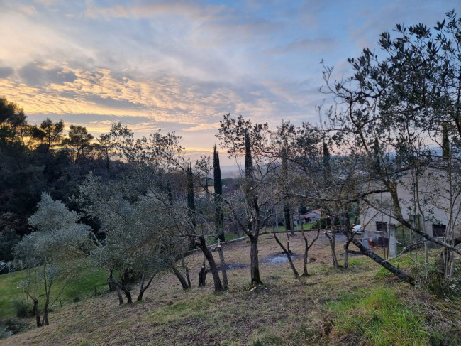 Casa singola in vendita a Torgiano