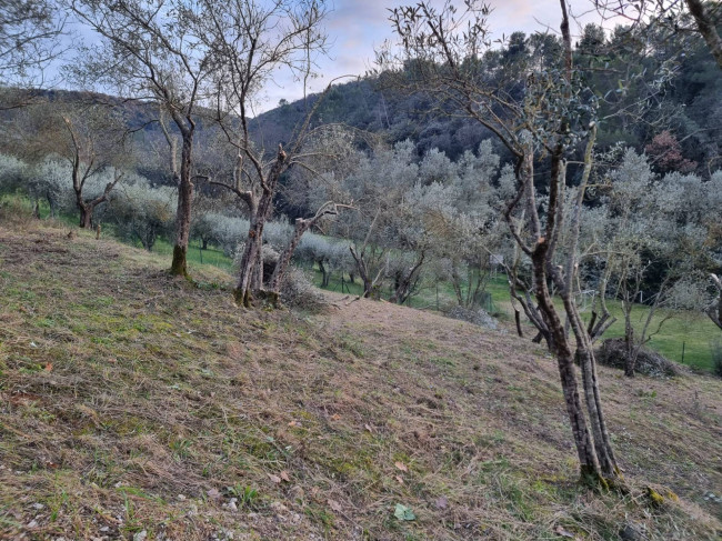 Casa singola in vendita a Torgiano