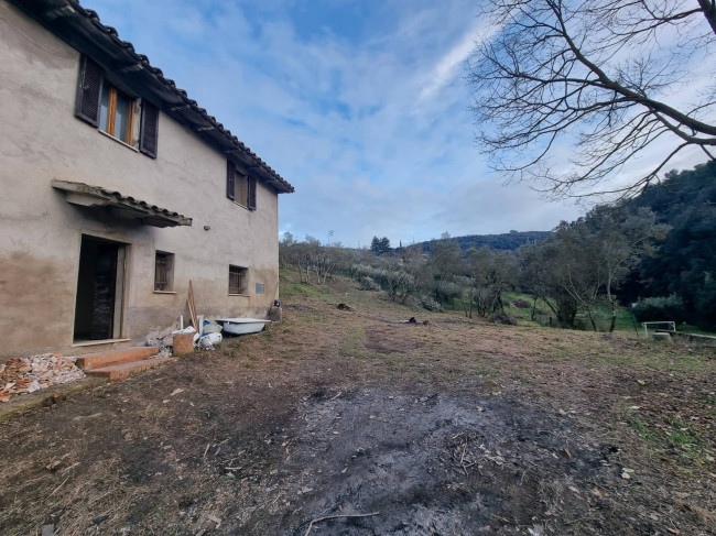 Casa singola in vendita a Torgiano