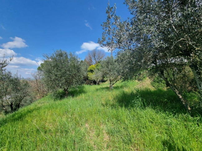 Appartamento in vendita a Deruta