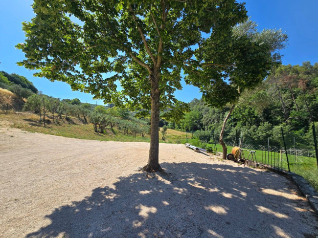 Casa singola in vendita a Torgiano