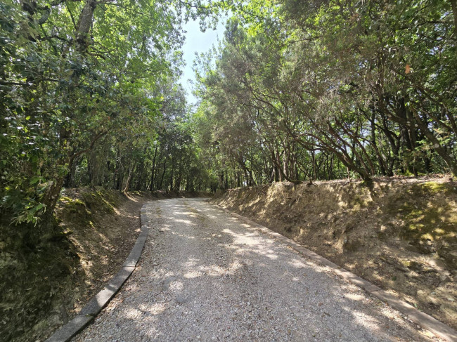 Casa singola in vendita a Bettona