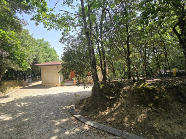 Casa singola in vendita a Bettona