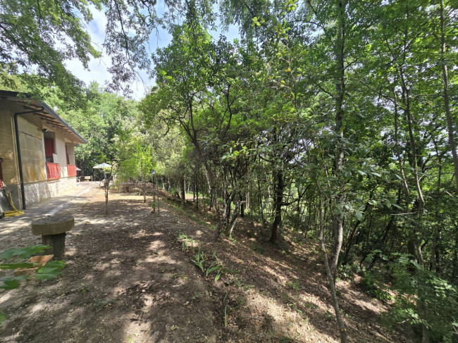 Casa singola in vendita a Bettona