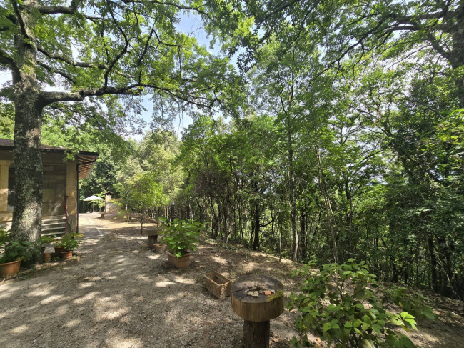 Casa singola in vendita a Bettona
