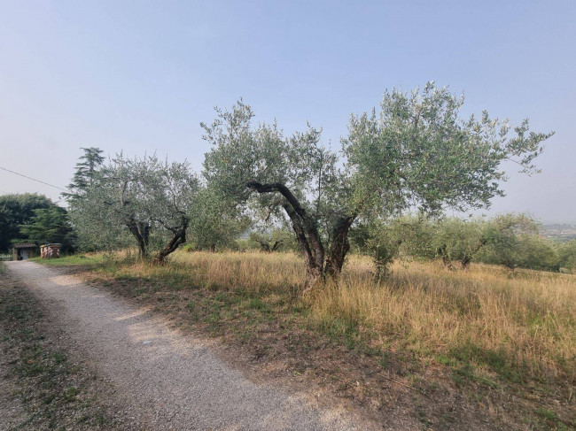 Agricultural Land for sale in Deruta
