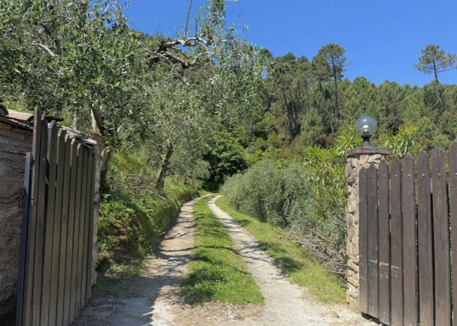 Rustico in vendita a Capannori