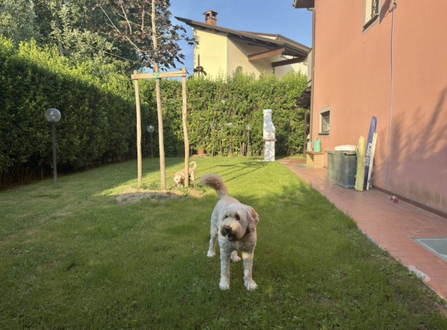 Casa singola in vendita a Lucca