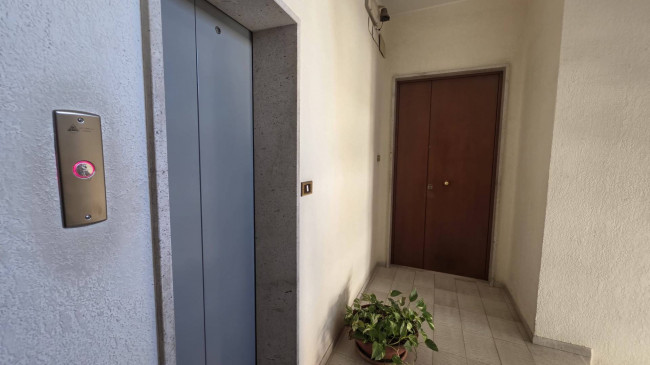 Appartamento in affitto a Andria