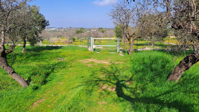 Trulli in vendita a Polignano a Mare