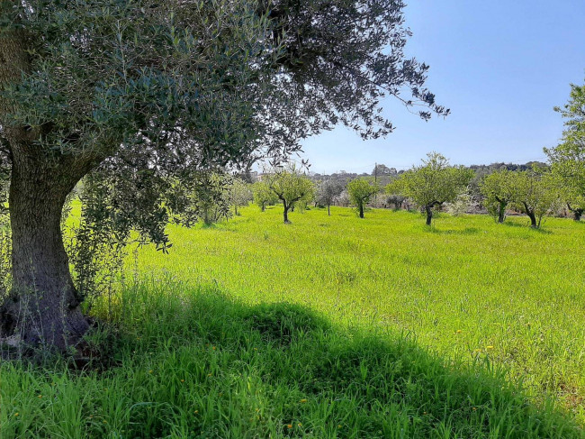 Terreno edificabile in vendita a Polignano a Mare