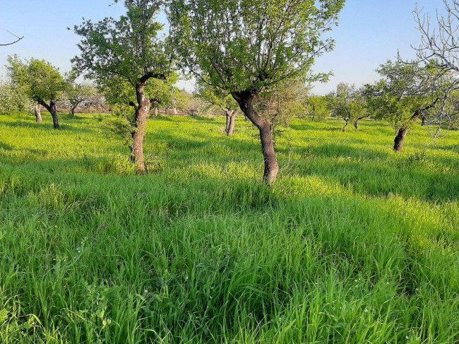 Terreno edificabile in vendita a Polignano a Mare