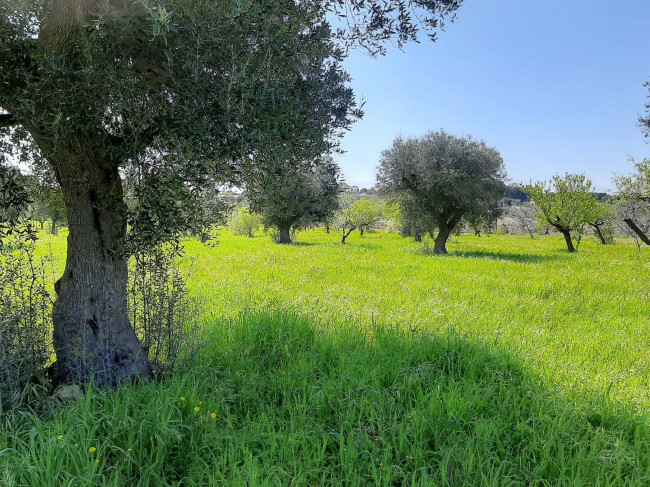 Terreno edificabile in vendita a Polignano a Mare