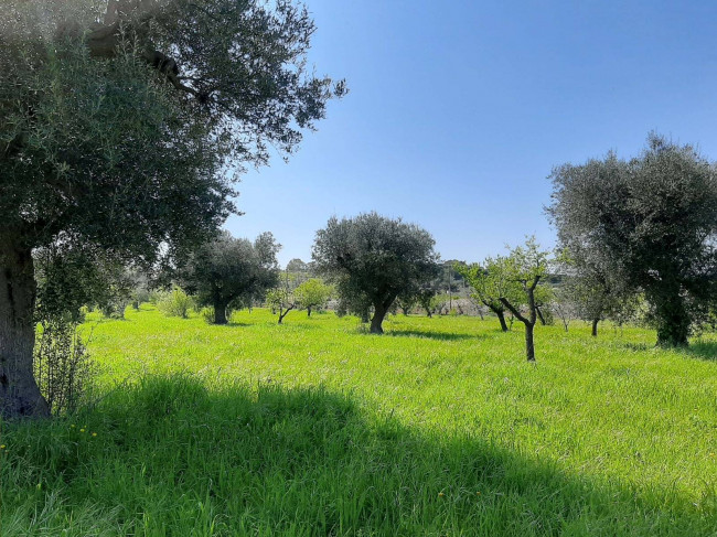 Terreno edificabile in vendita a Polignano a Mare