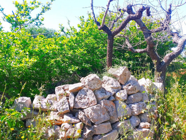 Rustico in vendita a Castellana Grotte