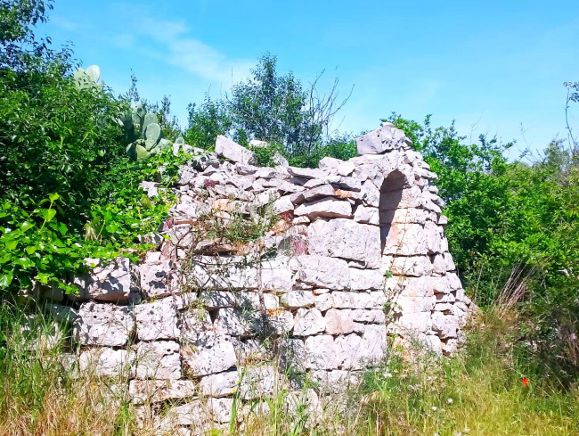 Rustico in vendita a Castellana Grotte