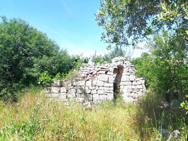 Rustico in vendita a Castellana Grotte