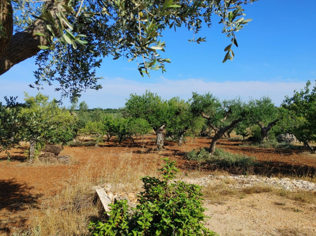Rustico in vendita a Castellana Grotte