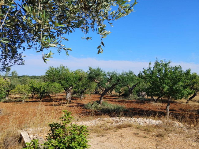 Rustico in vendita a Castellana Grotte