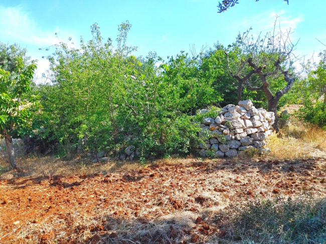 Rustico in vendita a Castellana Grotte