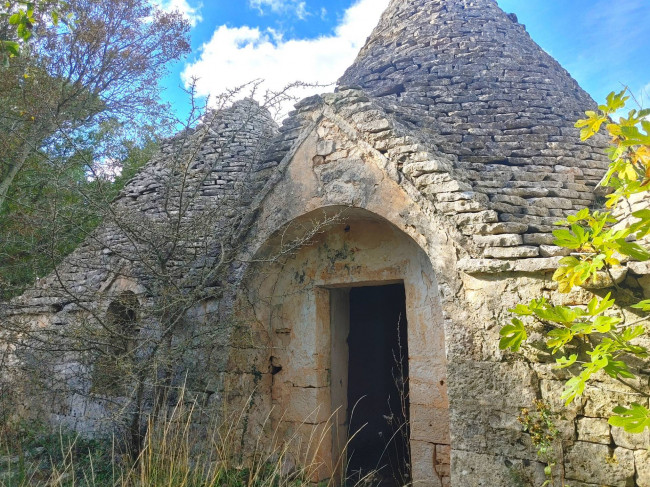 Trulli in vendita a Monopoli