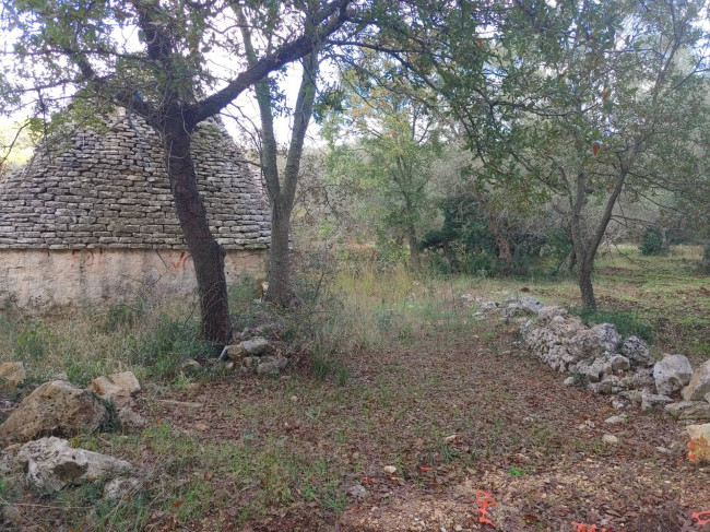 Trulli in vendita a Monopoli