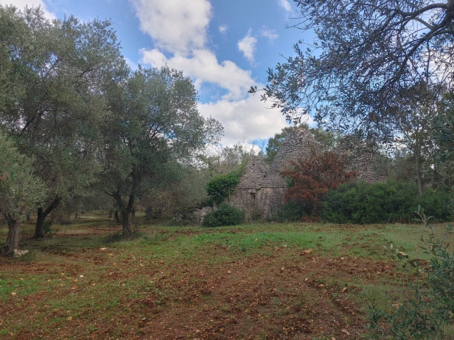 Trulli in vendita a Monopoli