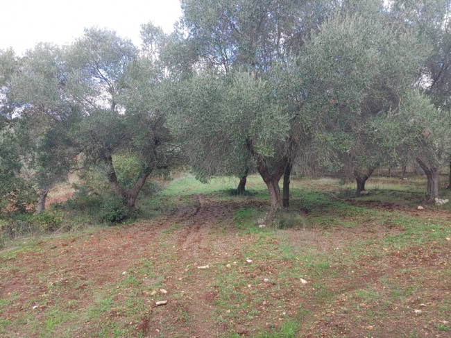 Trulli in vendita a Monopoli