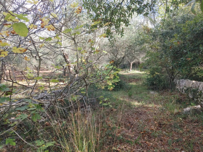 Trulli in vendita a Monopoli