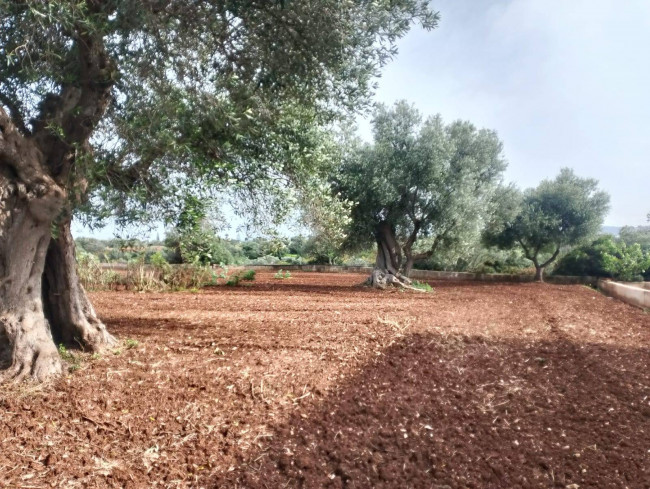 Casa singola in vendita a Monopoli