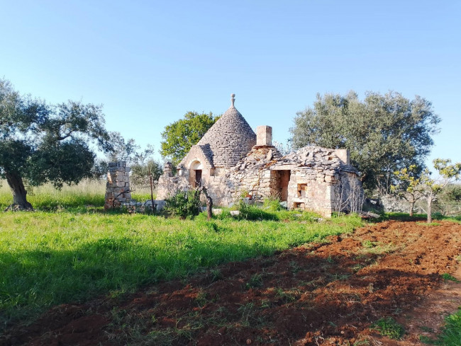 Trulli in vendita a Castellana Grotte