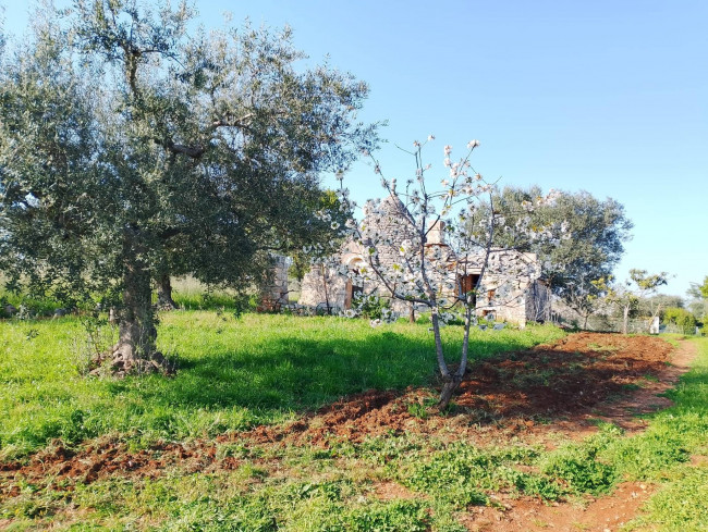 Trulli in vendita a Castellana Grotte