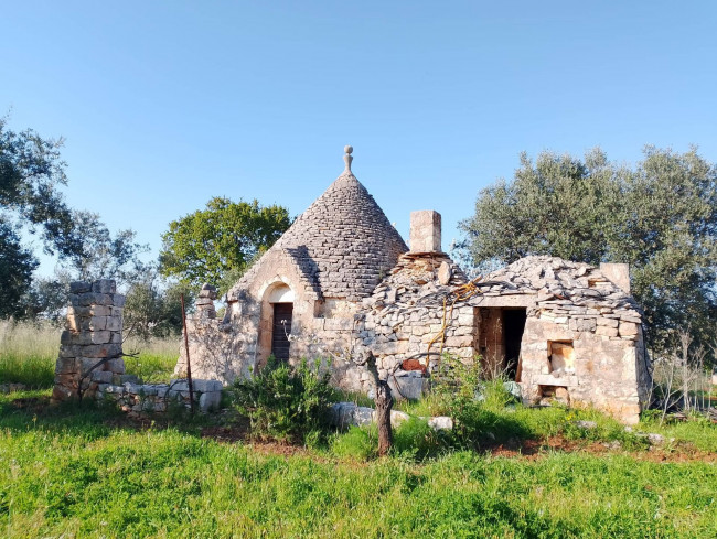 Trulli in vendita a Castellana Grotte