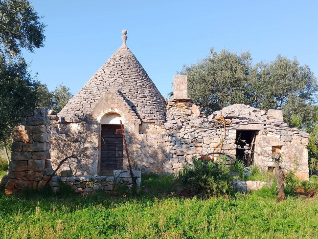 Trulli in vendita a Castellana Grotte