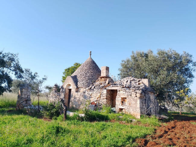 Trulli in vendita a Castellana Grotte