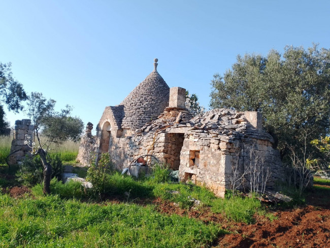 Trulli in vendita a Castellana Grotte