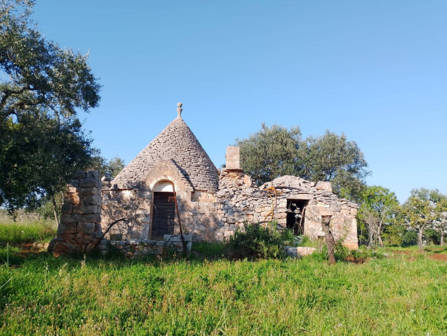 Trulli in vendita a Castellana Grotte