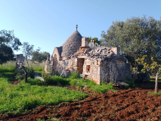 Trulli in vendita a Castellana Grotte