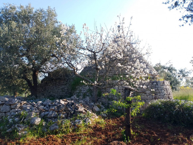 Trulli in vendita a Castellana Grotte