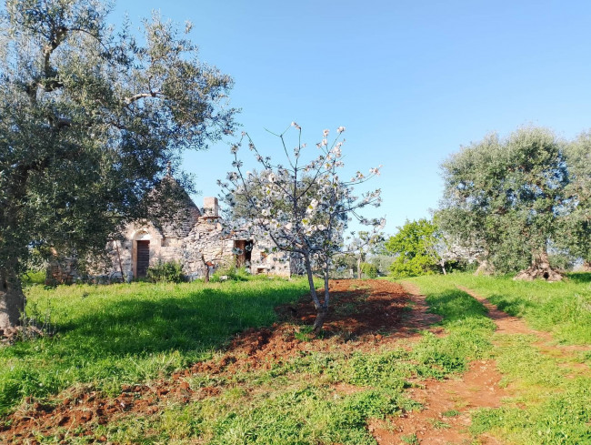 Trulli in vendita a Castellana Grotte