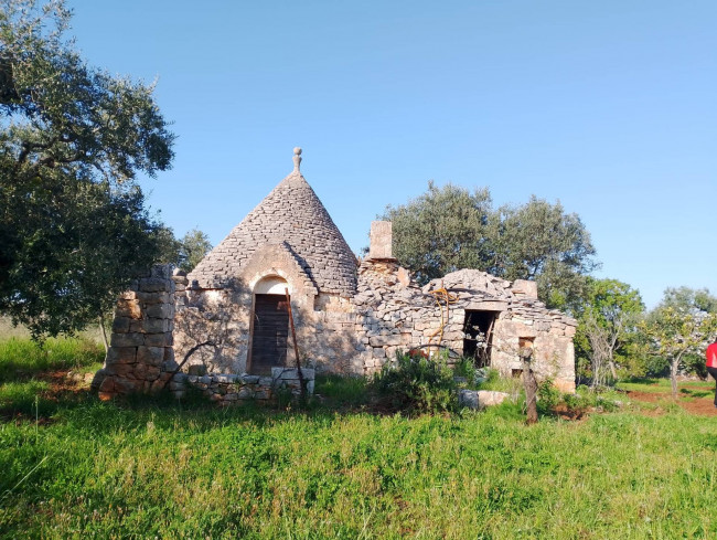 Trulli in vendita a Castellana Grotte