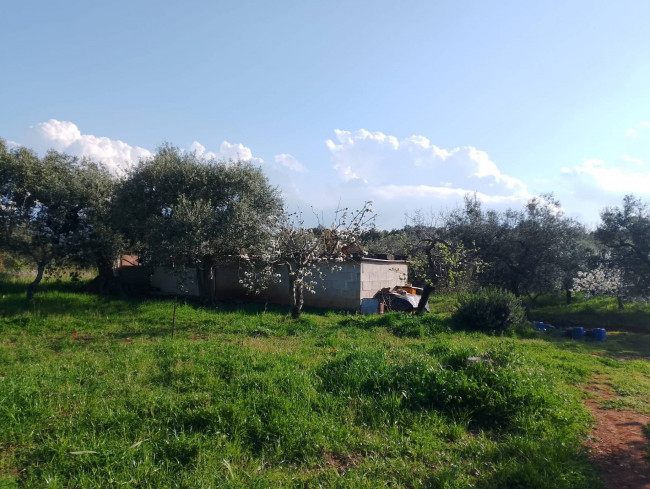 Trulli in vendita a Castellana Grotte