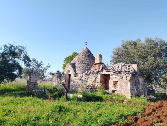 Trulli in vendita a Castellana Grotte